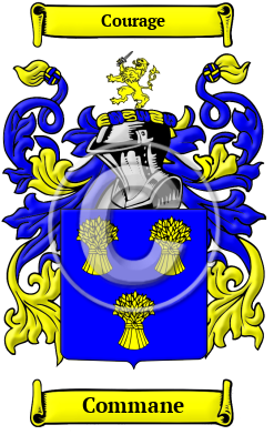 Commercial Commane coat of arms sold online — not authentic Gaelic Ó Comáin arms